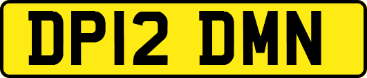 DP12DMN