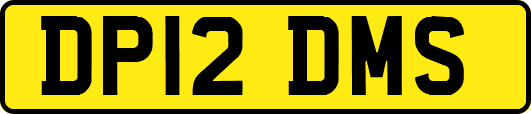DP12DMS