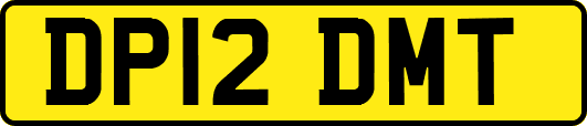 DP12DMT