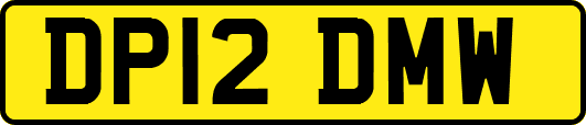 DP12DMW