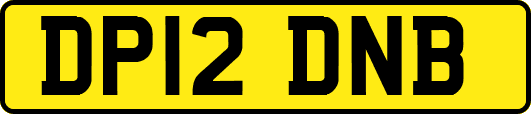 DP12DNB