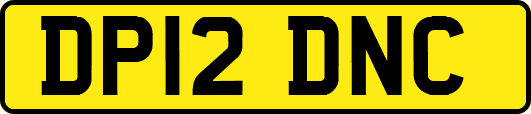 DP12DNC
