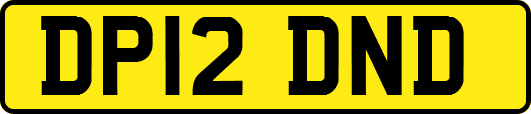 DP12DND