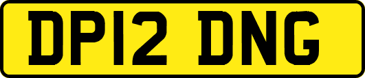 DP12DNG