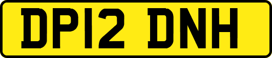 DP12DNH