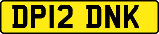 DP12DNK