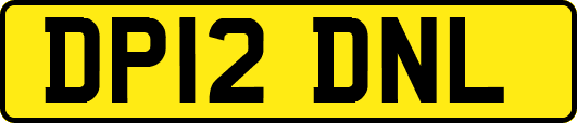 DP12DNL