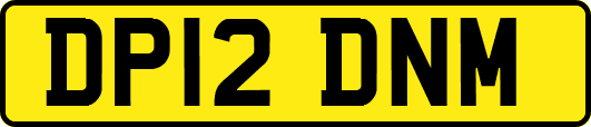 DP12DNM