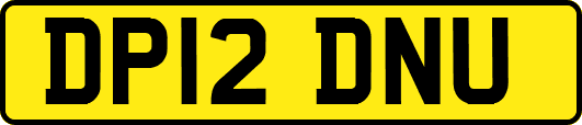DP12DNU