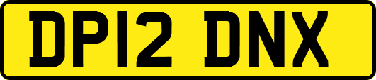 DP12DNX