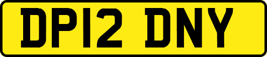 DP12DNY