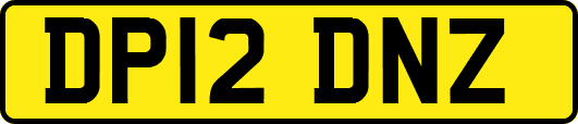 DP12DNZ