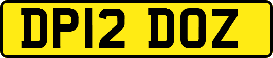 DP12DOZ