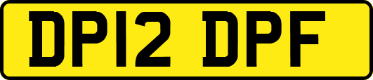 DP12DPF