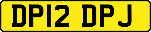 DP12DPJ