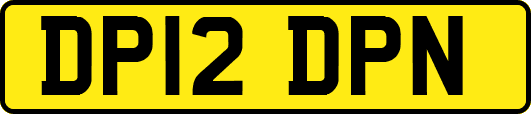 DP12DPN