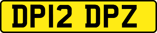 DP12DPZ