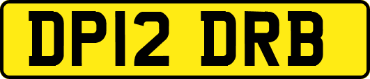 DP12DRB