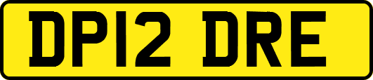 DP12DRE