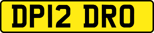 DP12DRO