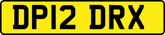DP12DRX