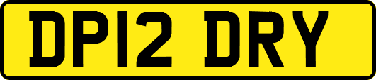 DP12DRY