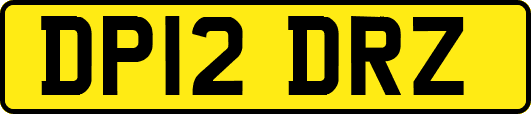 DP12DRZ