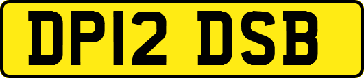 DP12DSB