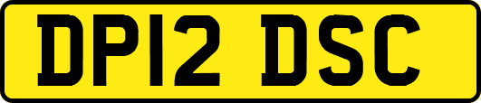 DP12DSC
