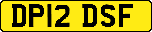 DP12DSF