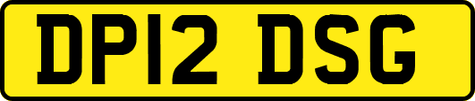 DP12DSG