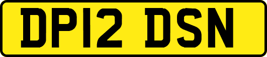 DP12DSN