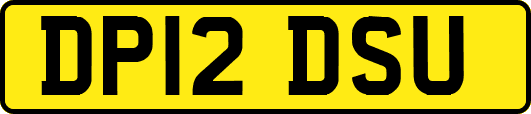 DP12DSU