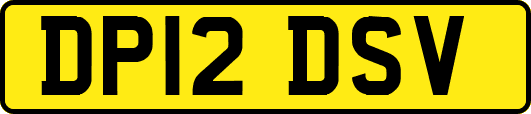 DP12DSV