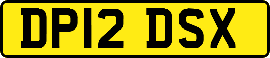 DP12DSX