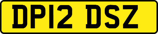 DP12DSZ