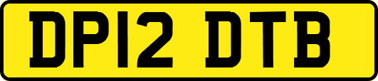 DP12DTB