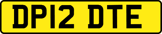 DP12DTE