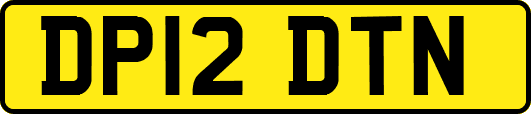 DP12DTN