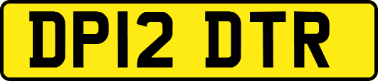 DP12DTR