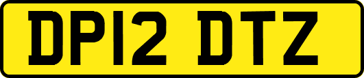 DP12DTZ
