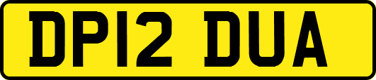 DP12DUA