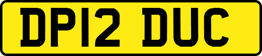 DP12DUC