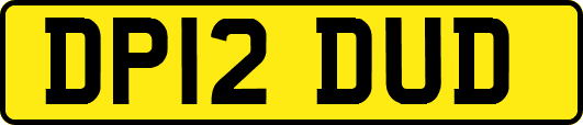 DP12DUD