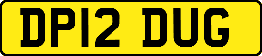DP12DUG