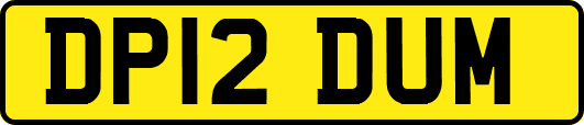 DP12DUM
