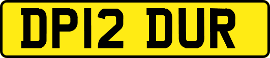 DP12DUR