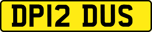 DP12DUS