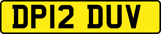 DP12DUV