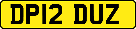 DP12DUZ